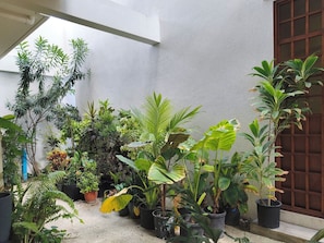 Property grounds - Kuredhi View (Thulusdhoo Island)