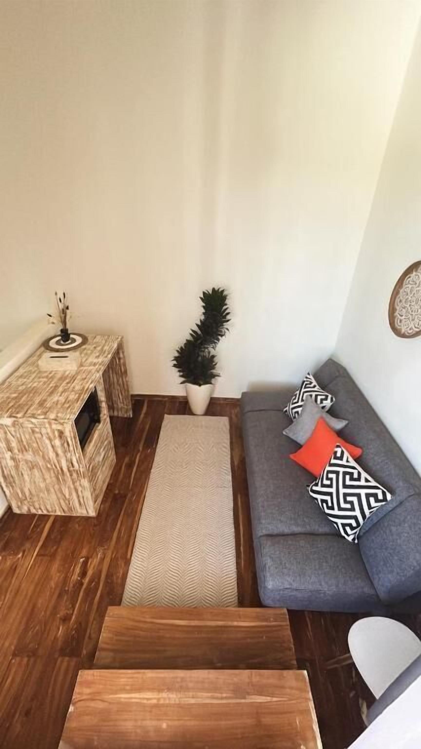 A living room with a sofa, a small table, a potted plant, and a rug.