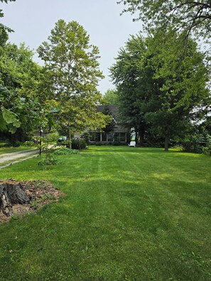 A well-maintained lawn with a house in the background.