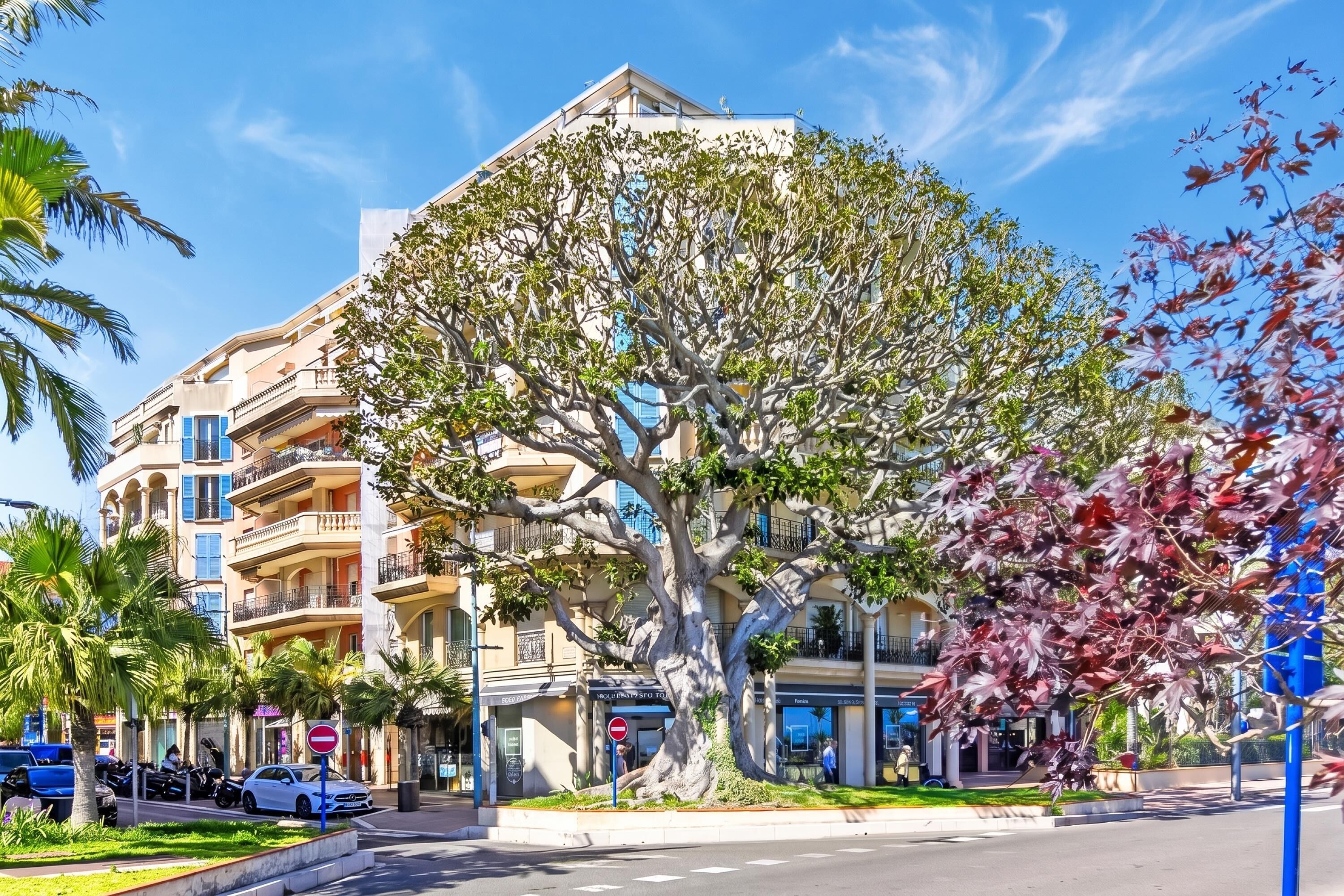 A multi-story building with balconies, a large tree in front, and a clear blue sky.
