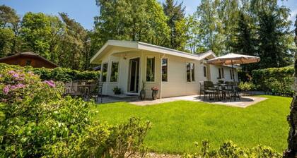 Holiday Home in Lochem With Terrace