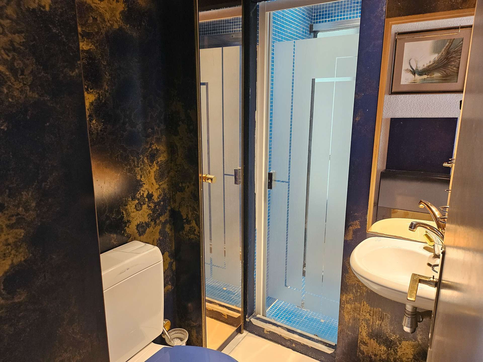Un bany amb vàter, una dutxa amb porta de vidre i un lavabo amb mirall.
