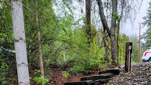 Un sentier de pierres traverse une zone boisée, bordée d’arbres et, d’un côté, d’un chemin de gravier.