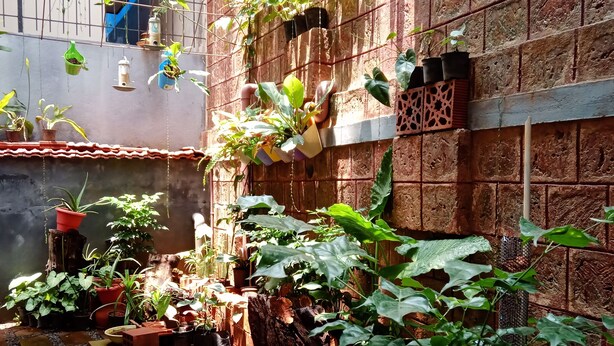 A courtyard with potted plants, a bird feeder, and a brick wall. - DhruvDhanush(2-bedroom with AC/2 attached bathroom in lovely Ullal/deralakatte (Ullal)