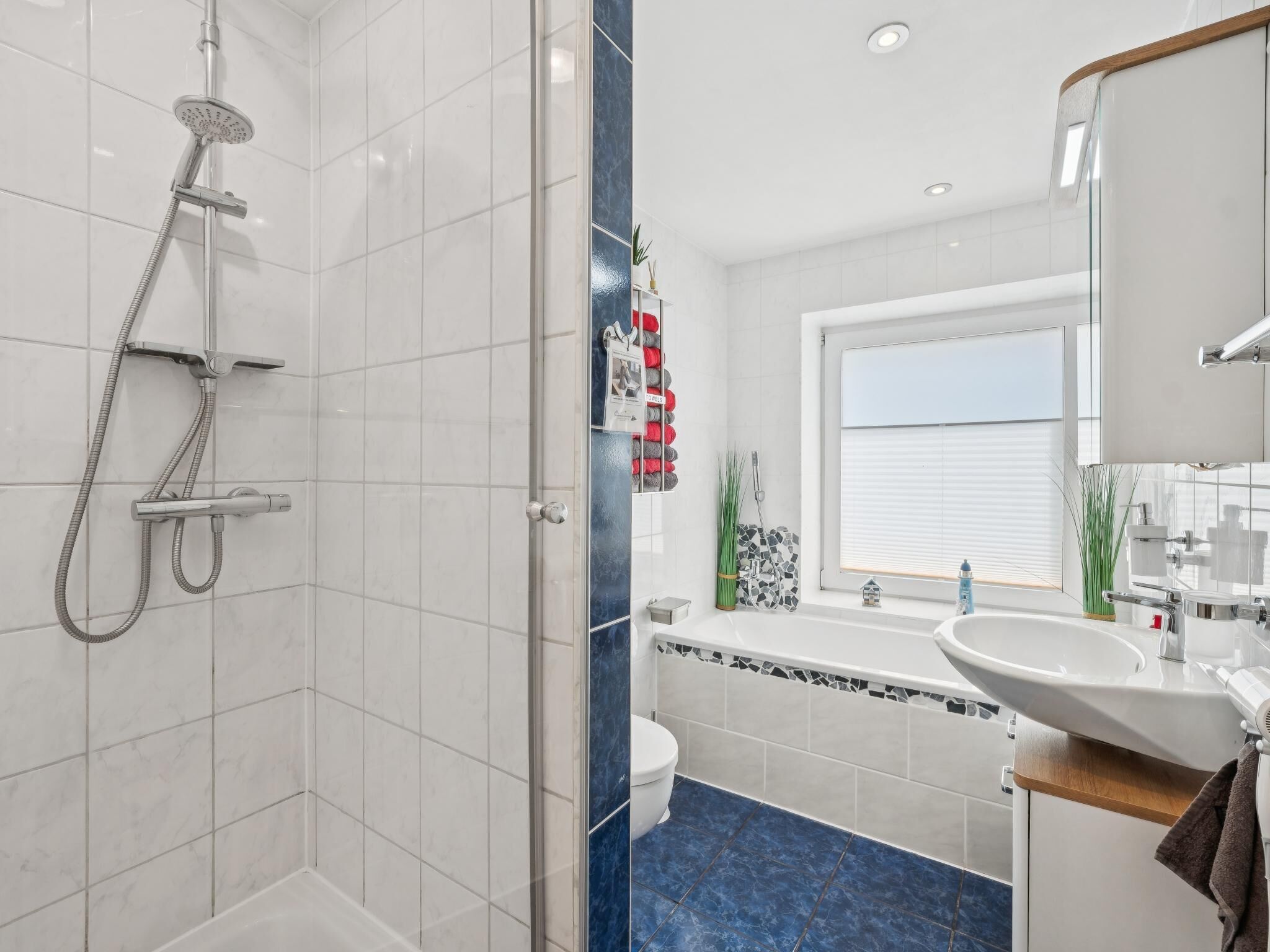 Shower, hair dryer
