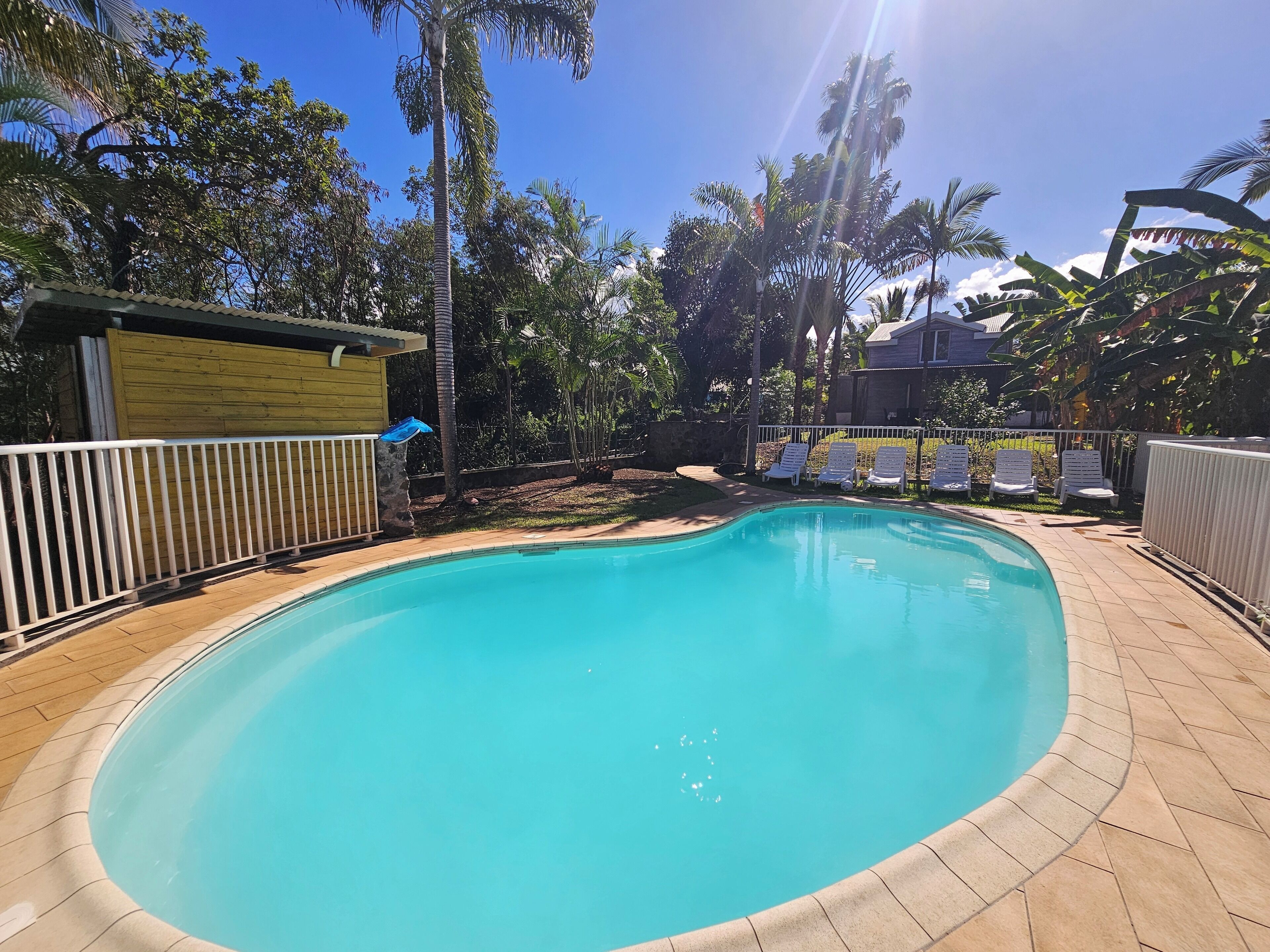 A swimming pool with a tiled edge, surrounded by a white fence, palm trees, and a small wooden structure.