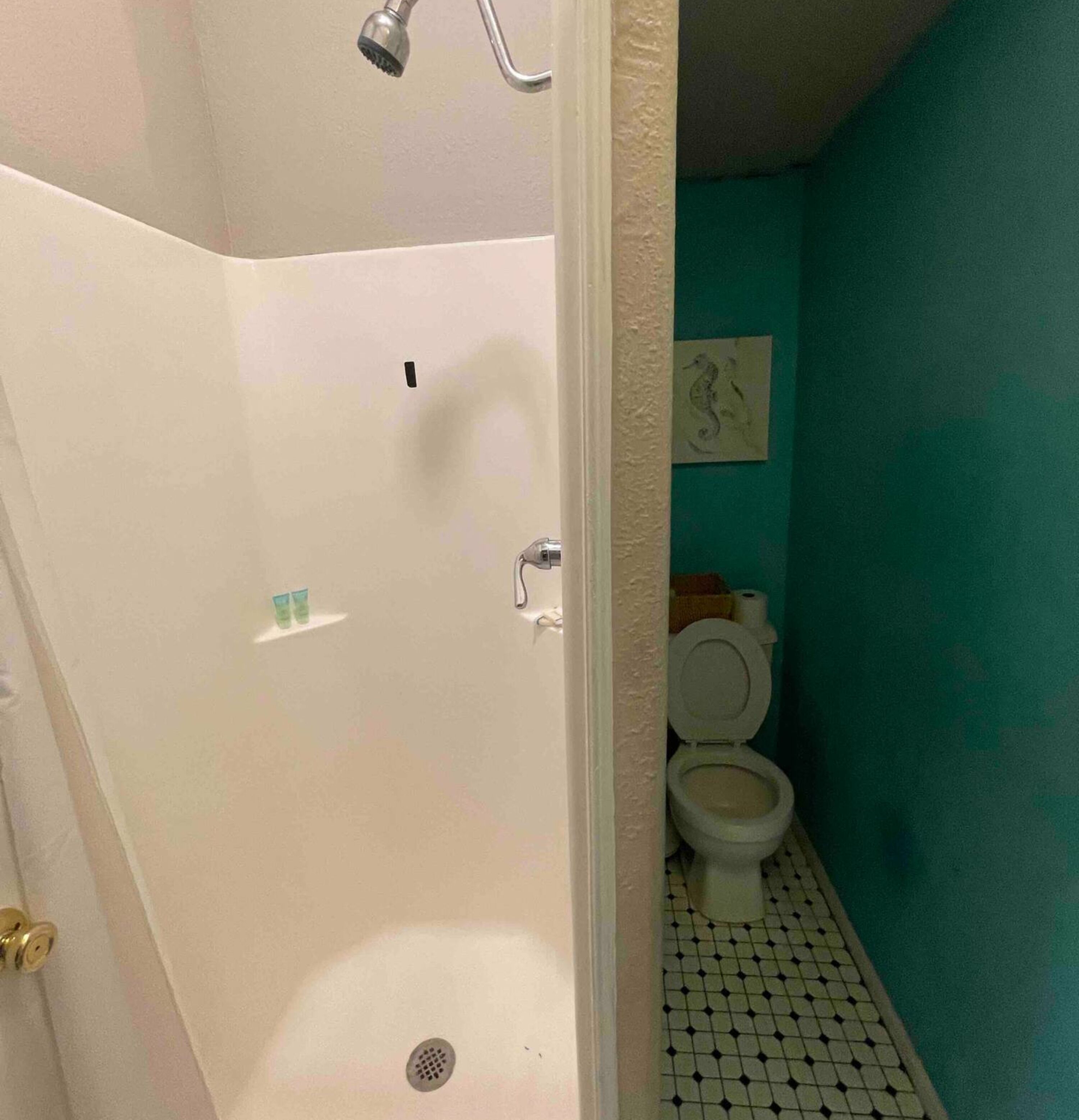 Een badkamer met een bad, toilet en douchekop.