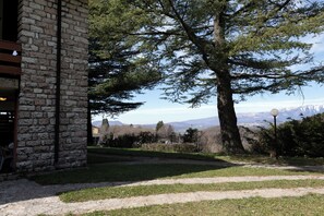 Un edificio de piedra con un área verde y un gran árbol en su fachada.