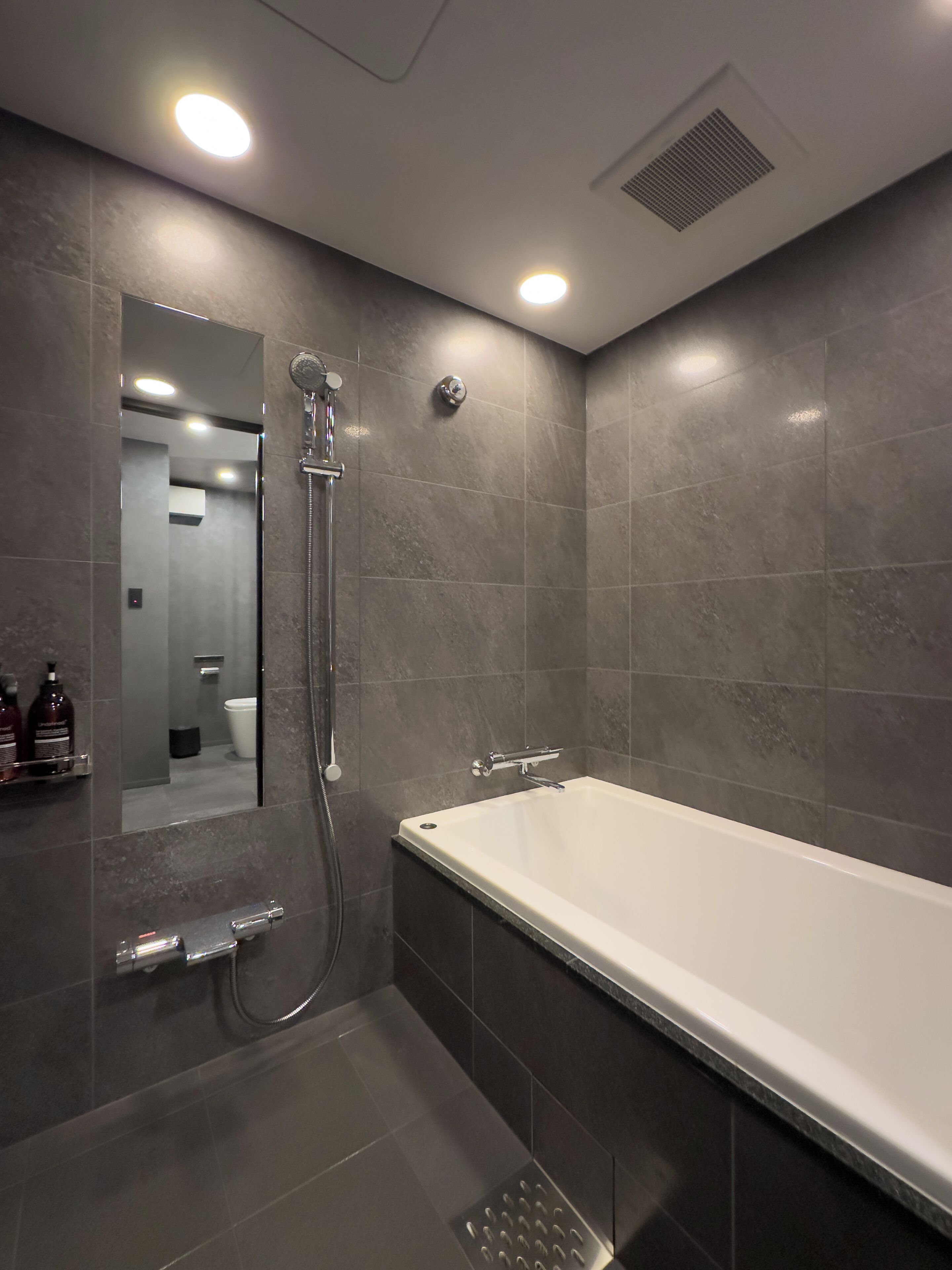 Separate tub and shower, hydromassage showerhead, hair dryer, slippers