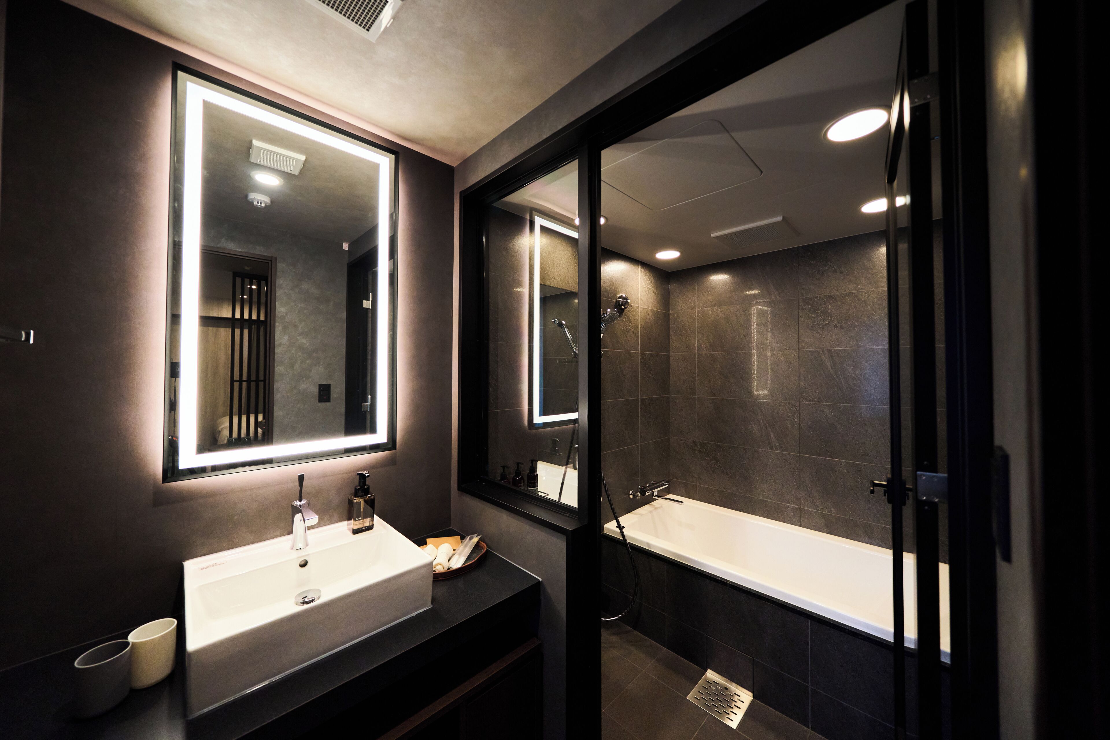 Separate bathtub and shower, hydromassage showerhead, hair dryer