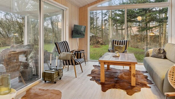 Een modern interieur met grote ramen, een houten plafond, een televisie en een leren vloerkleed.
