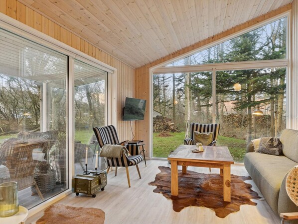 Ein modernes Interieur mit großen Fenstern, einer Holzbalkendecke, einem Fernseher und einem Lederteppich.