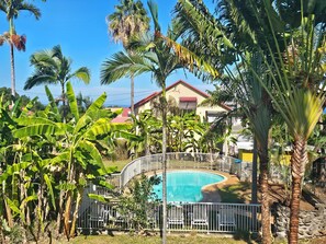 Piscina rodeada por vegetação tropical exuberante, cerca branca e um edifício com telhado vermelho ao fundo.