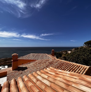 A terracotta-tiled roof, a chimney, and a view of the sea.