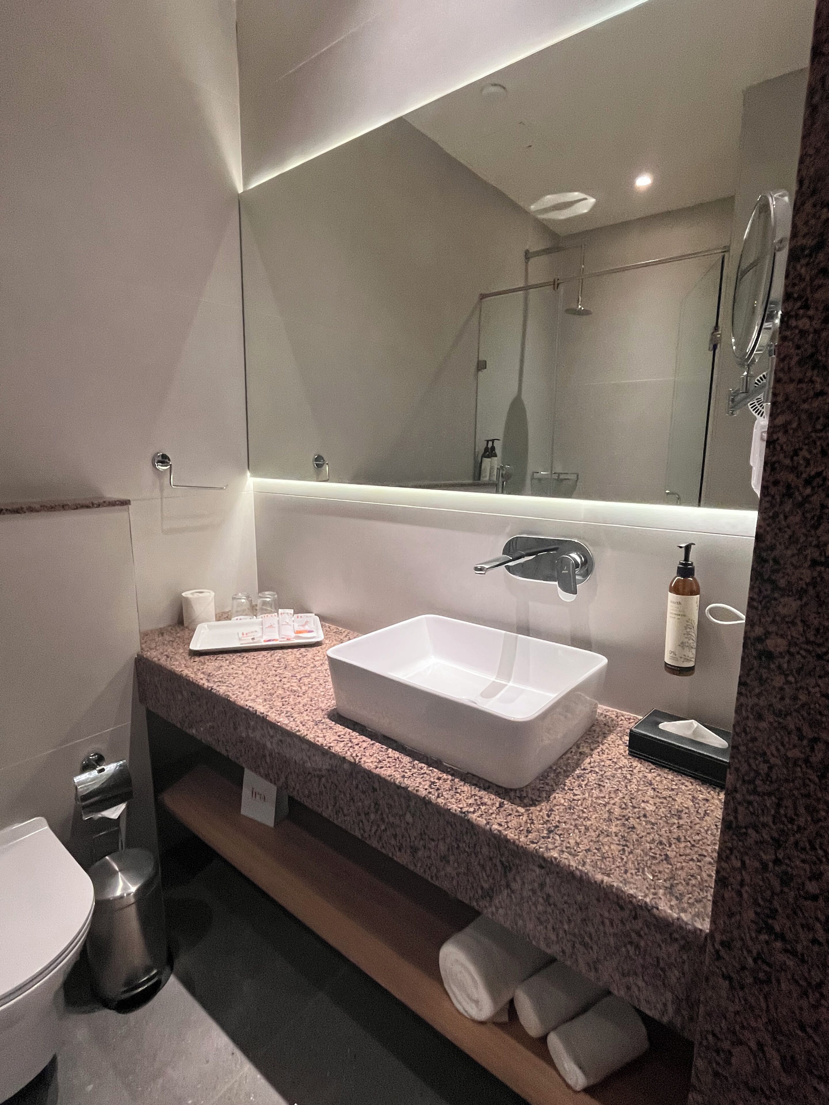 Quarto casal ou duplo luxo, vista para o jardim | Banheiro | Secador de cabelo, chinelos, toalhas de banho 