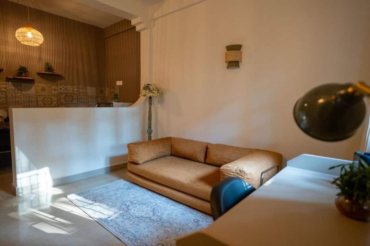 Un salon moderne avec un canapé, une lampe et une plante en pot.