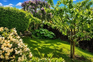 Un jardin avec différentes plantes et arbres, une haie et un ciel bleu dégagé.
