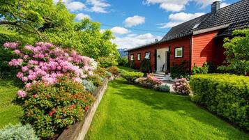 Udendørsområde