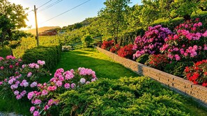 Un jardin aménagé avec un sentier en briques, une végétation luxuriante et des arbustes en fleurs.