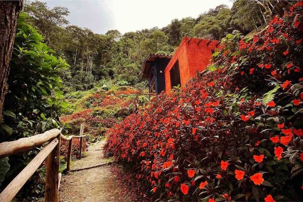 A pathway leading to a building surrounded by dense foliage and vibrant red flowers.