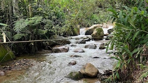 Un cours d’eau naturel, bordé de rochers et d’une végétation luxuriante.