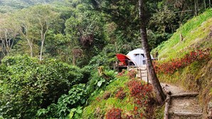 Un chalet rustique niché au cœur d’une forêt luxuriante, avec un escalier en bois menant à l’étage.