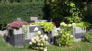 A garden with various plants and flowers, a concrete wall, and a hedge in the background.