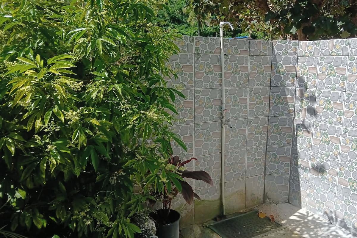 Una pared de azulejos con diseño de piedra, una planta en maceta y una tubería de metal.