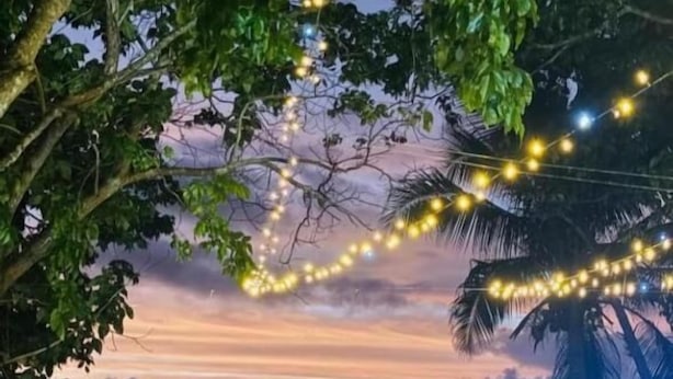 Escena de playa con palmeras, luces colgantes y un mar tranquilo al atardecer.