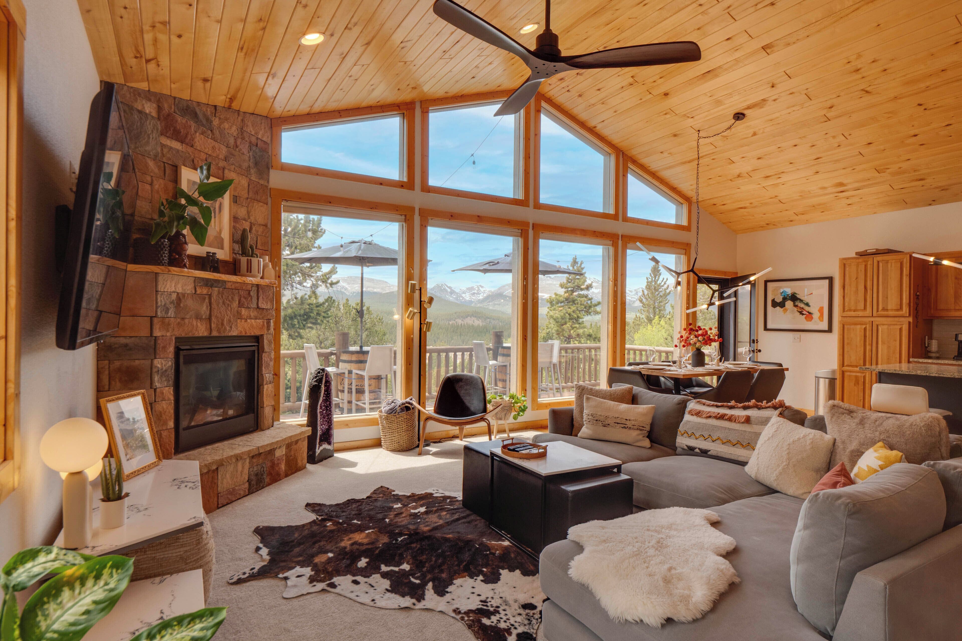 TV, fireplace, books