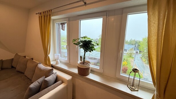 A room with a sofa, a potted plant, and a view of a residential area through large windows.