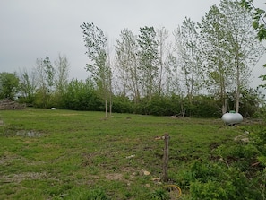 Un campo cubierto de césped con árboles y una gran estructura esférica.