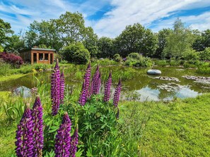 A garden with a pond, purple flowers, and a wooden structure. - Torridge Lodge - UKC9517 (Sheepwash)