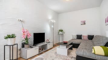 Fernseher