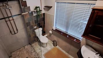 A bathroom with a glass shower enclosure, a toilet, a sink, and a window with blinds.