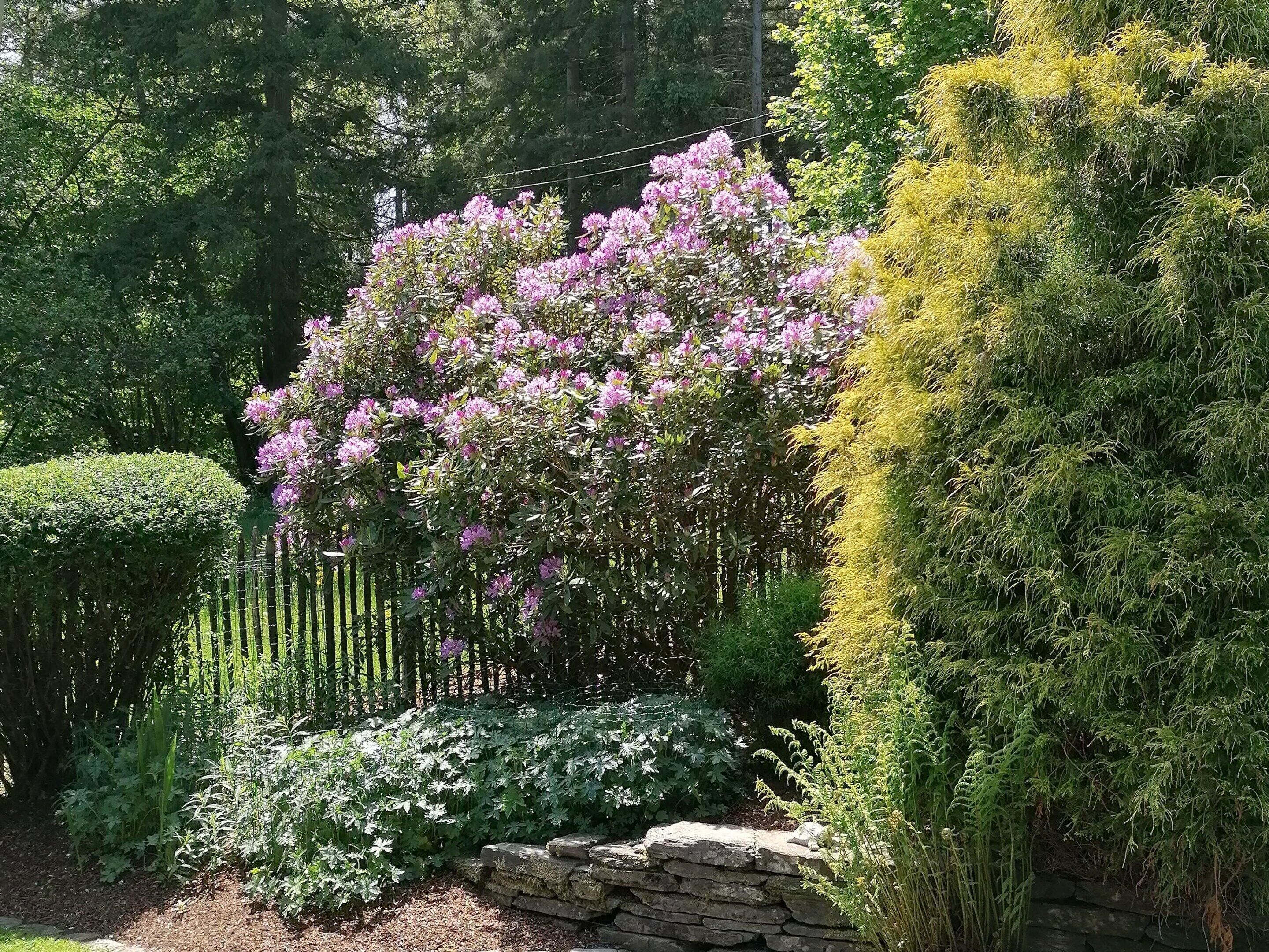 House | Garden