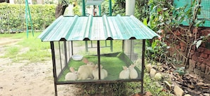 A metal rabbit enclosure with a green roof, surrounded by greenery and a brick wall. - La Savanna Resort And Spa By DL Hotels And Resorts (Ramnagar)