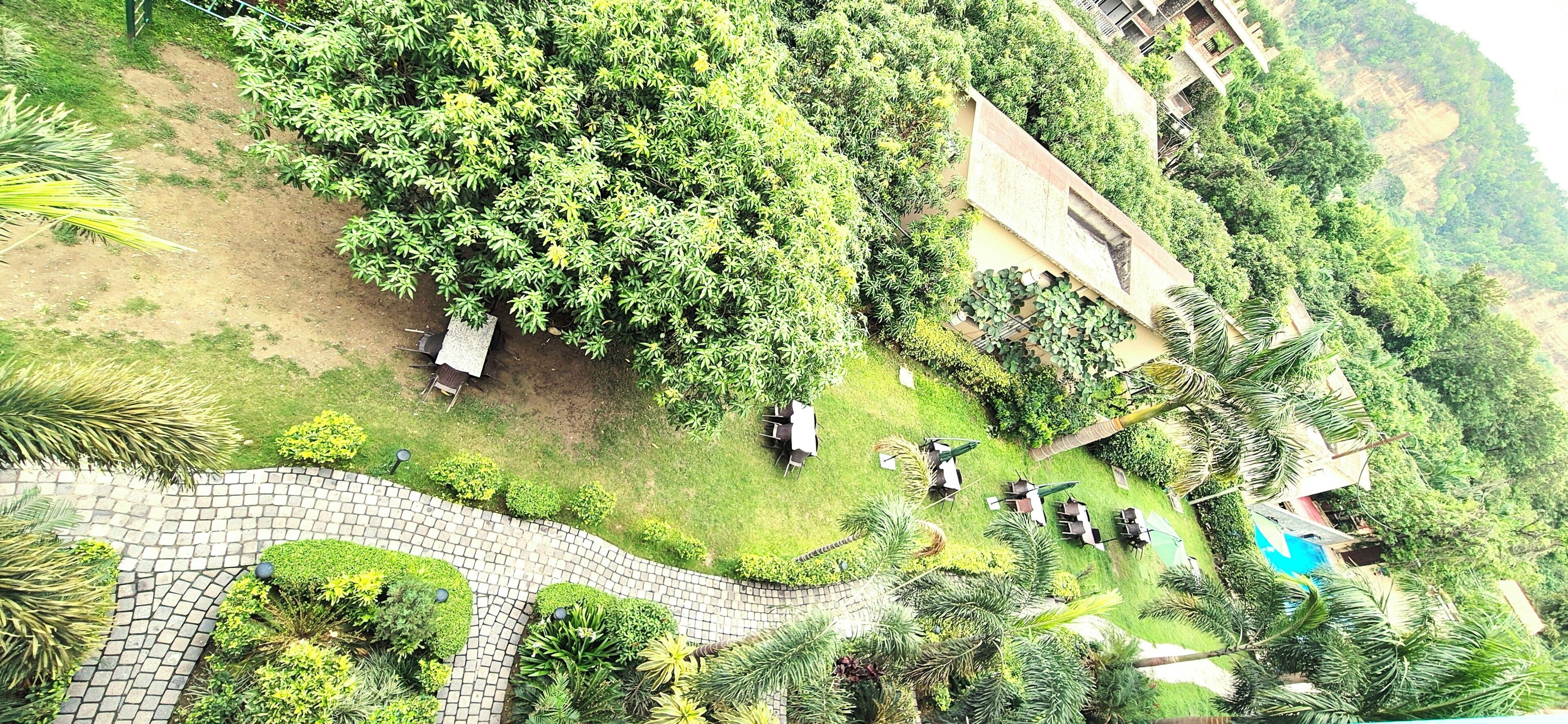 Un jardín ajardinado con senderos, zonas de estar y una piscina.