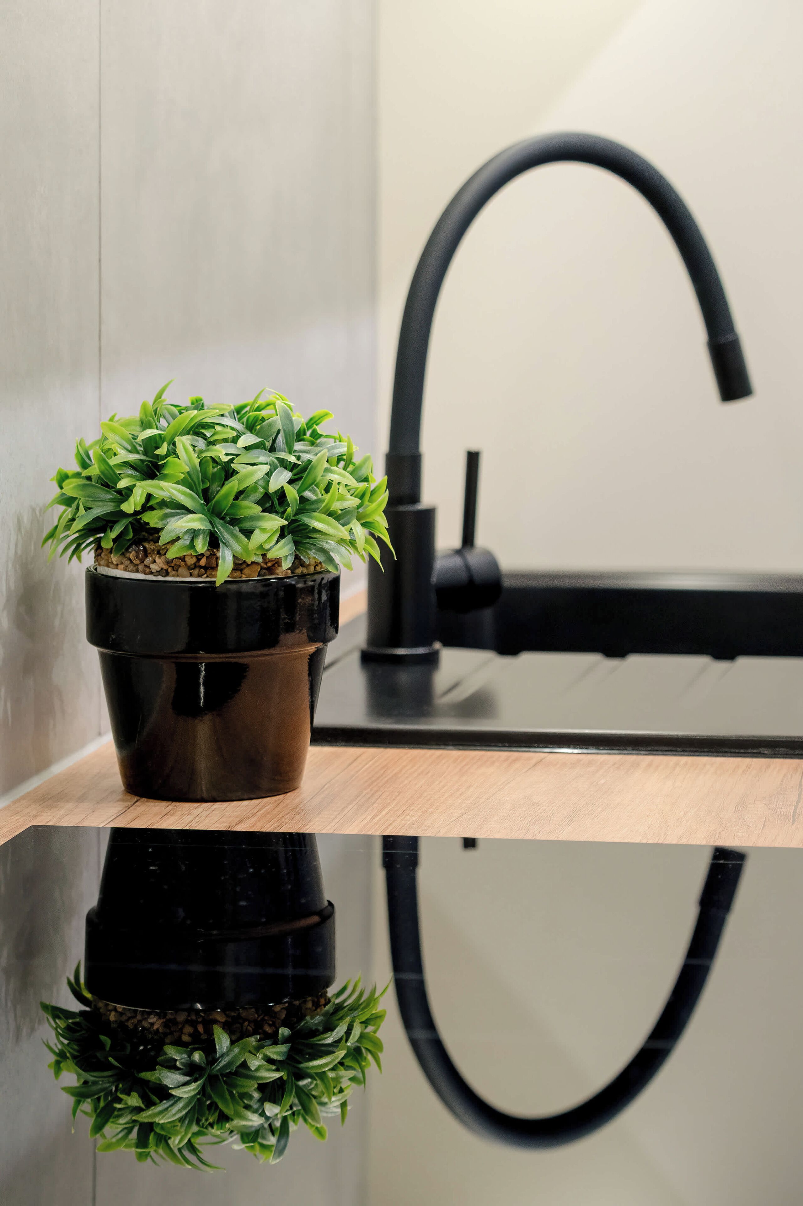 Une plante en pot, placée sur une surface réfléchissante, avec un robinet moderne en arrière-plan.