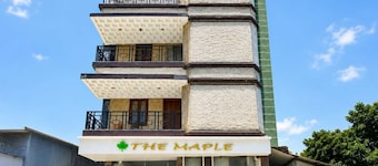 Classic Siliguri Maple