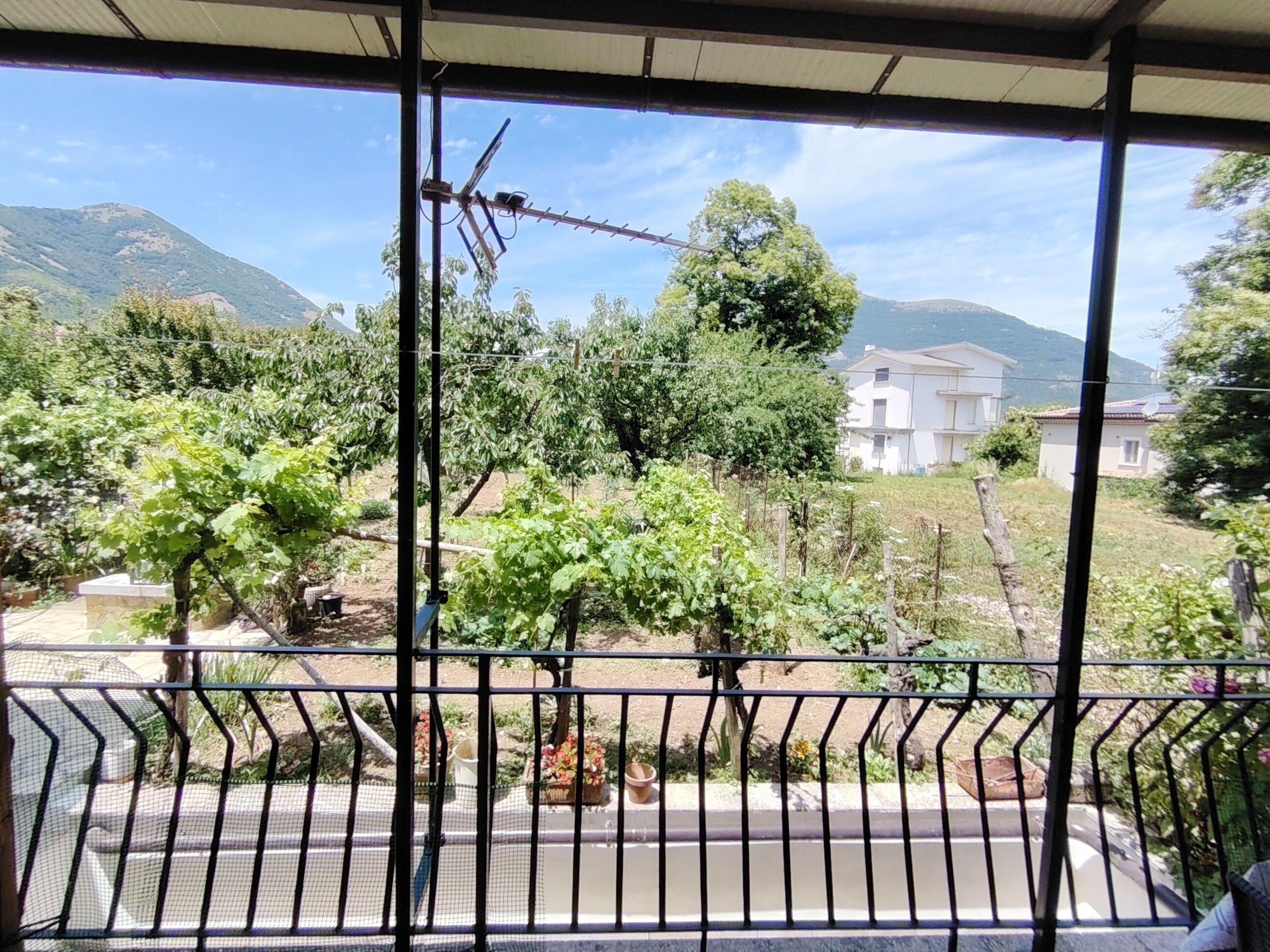Garden view