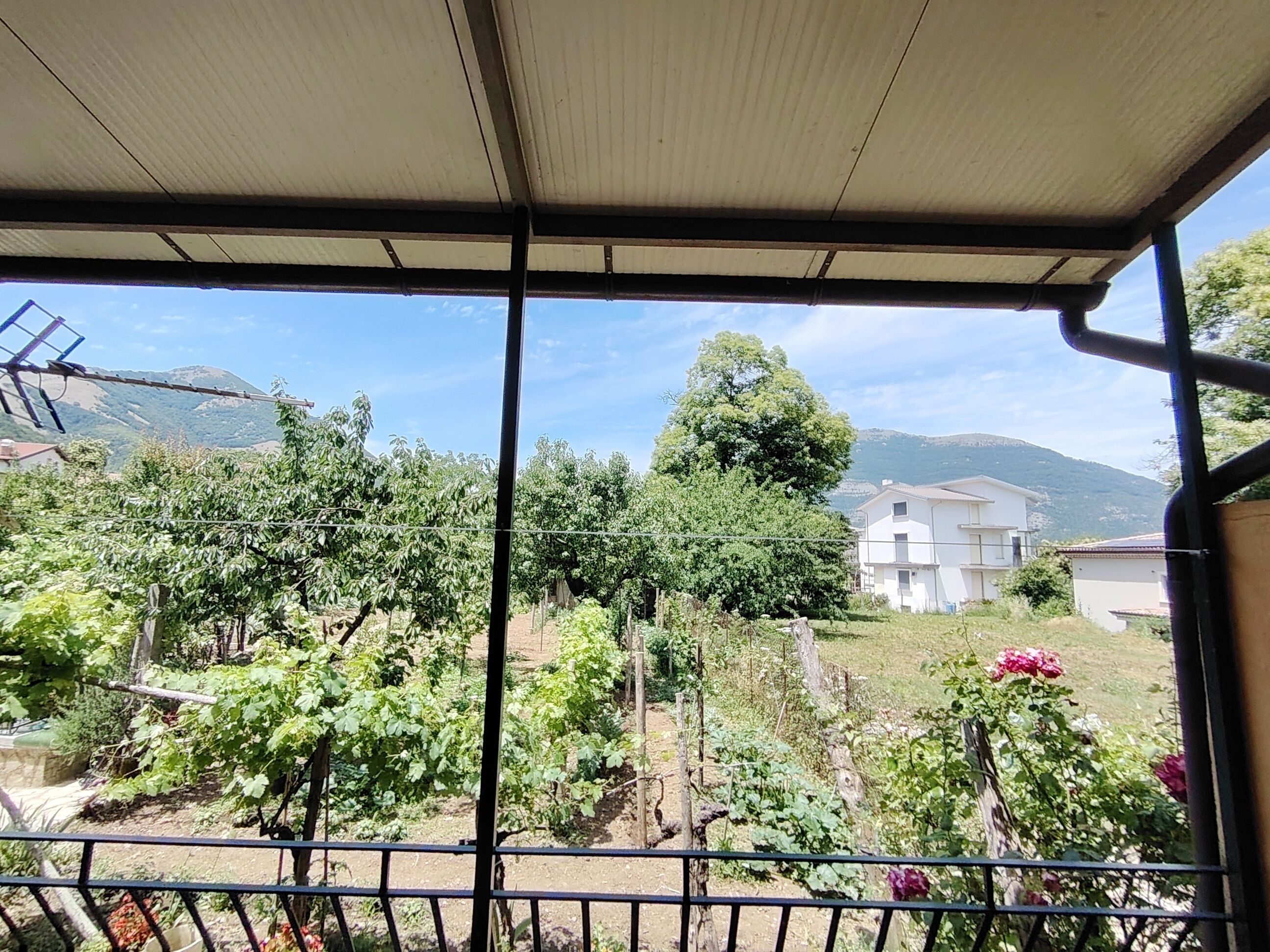 Blick auf den Garten