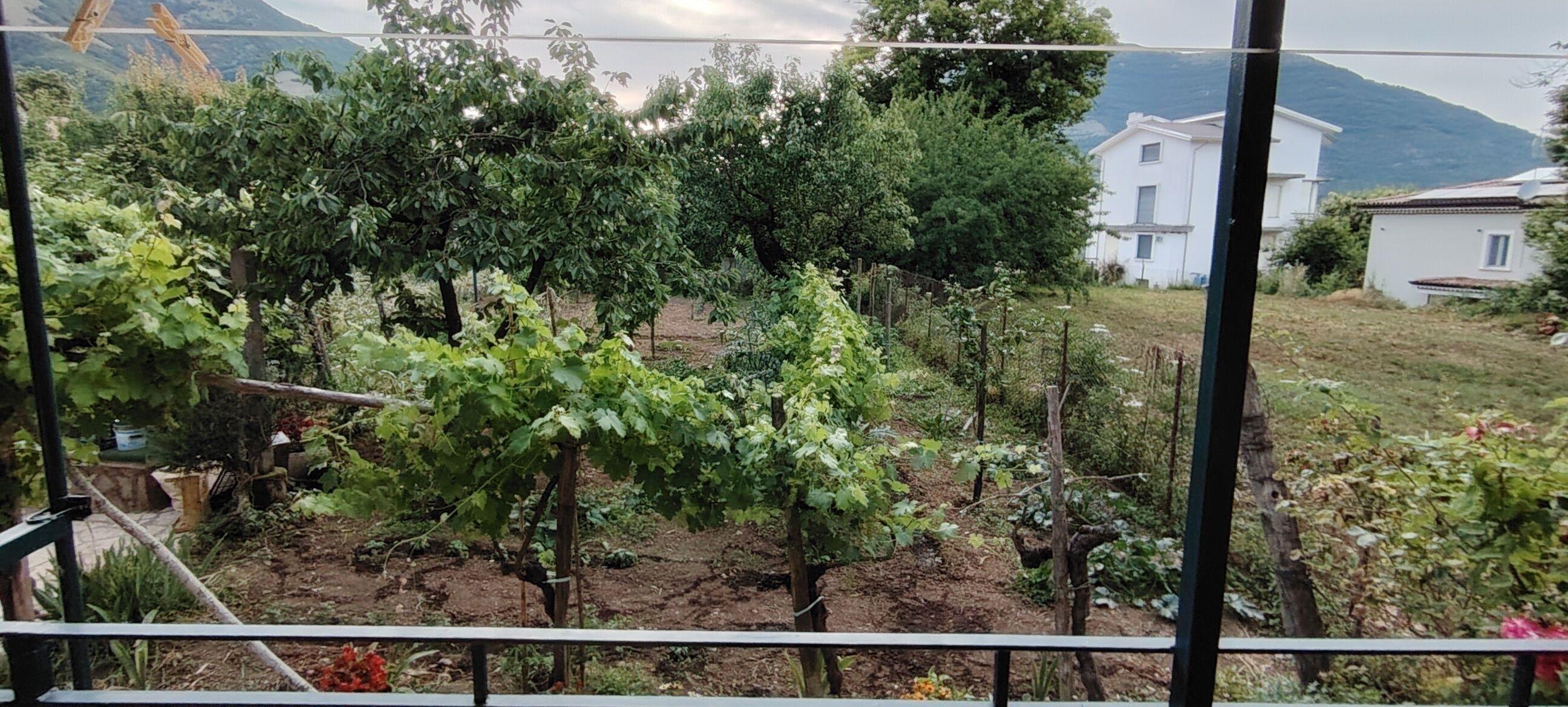 Blick auf den Garten