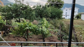 Blick auf den Garten