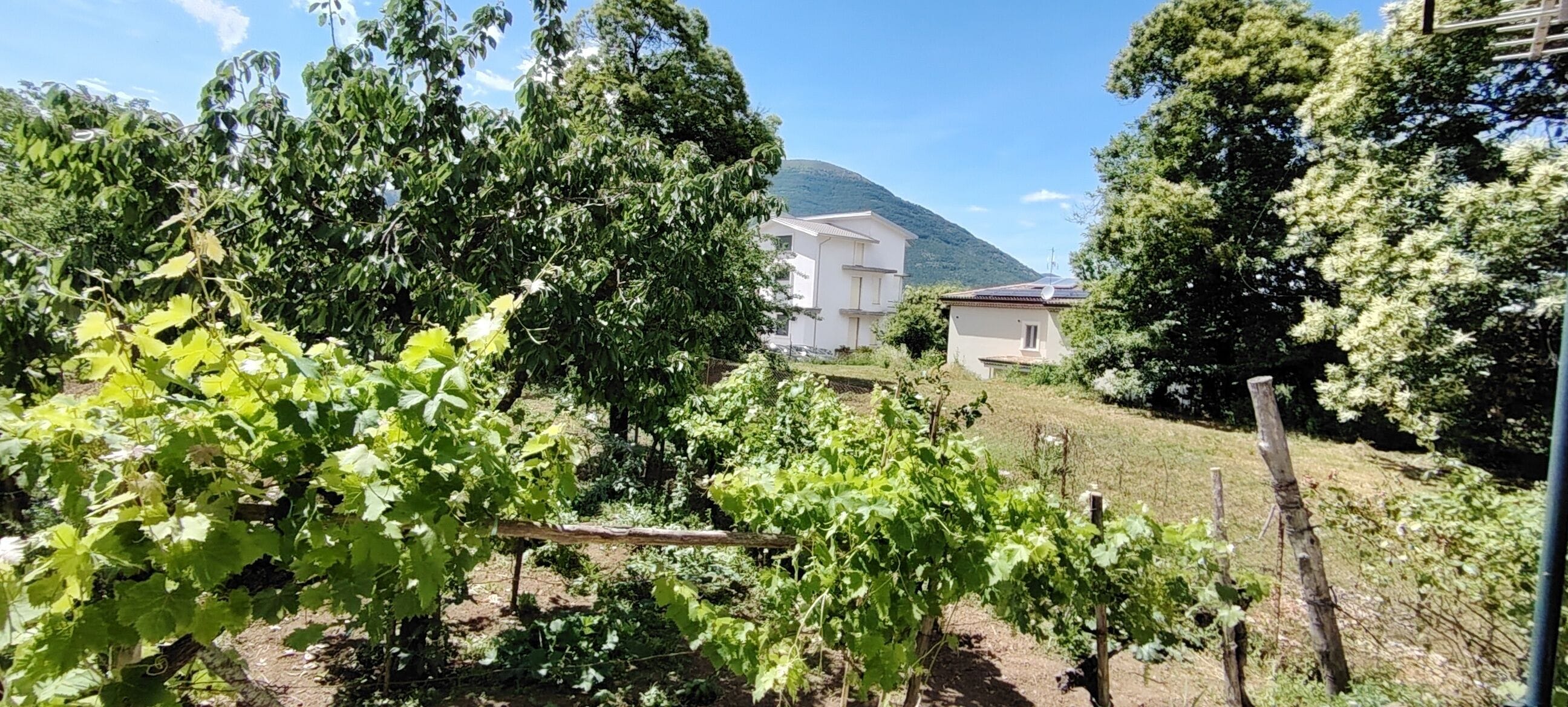 Vista giardino