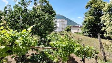 Vista giardino