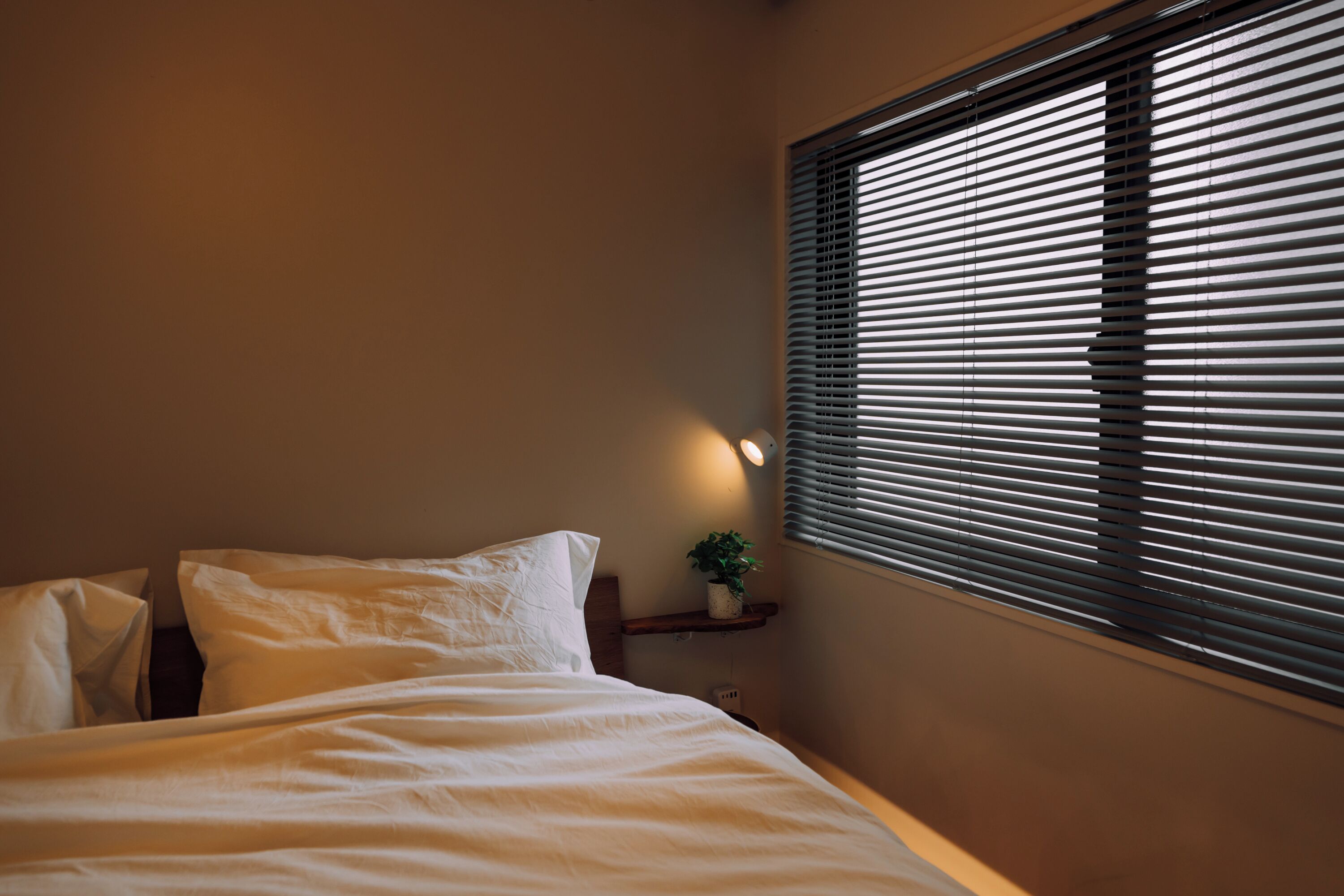 A bedroom with a bed, pillows, a bedside table with a plant, and a window with blinds.