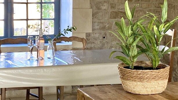 Un comedor con una mesa dispuesta para dos, una lámpara colgante y una planta en maceta.