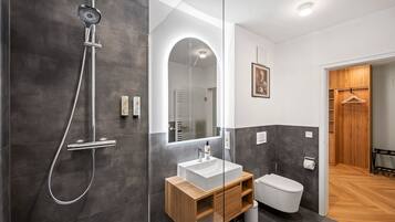 A modern bathroom with a shower, toilet, vanity, and a mirror.