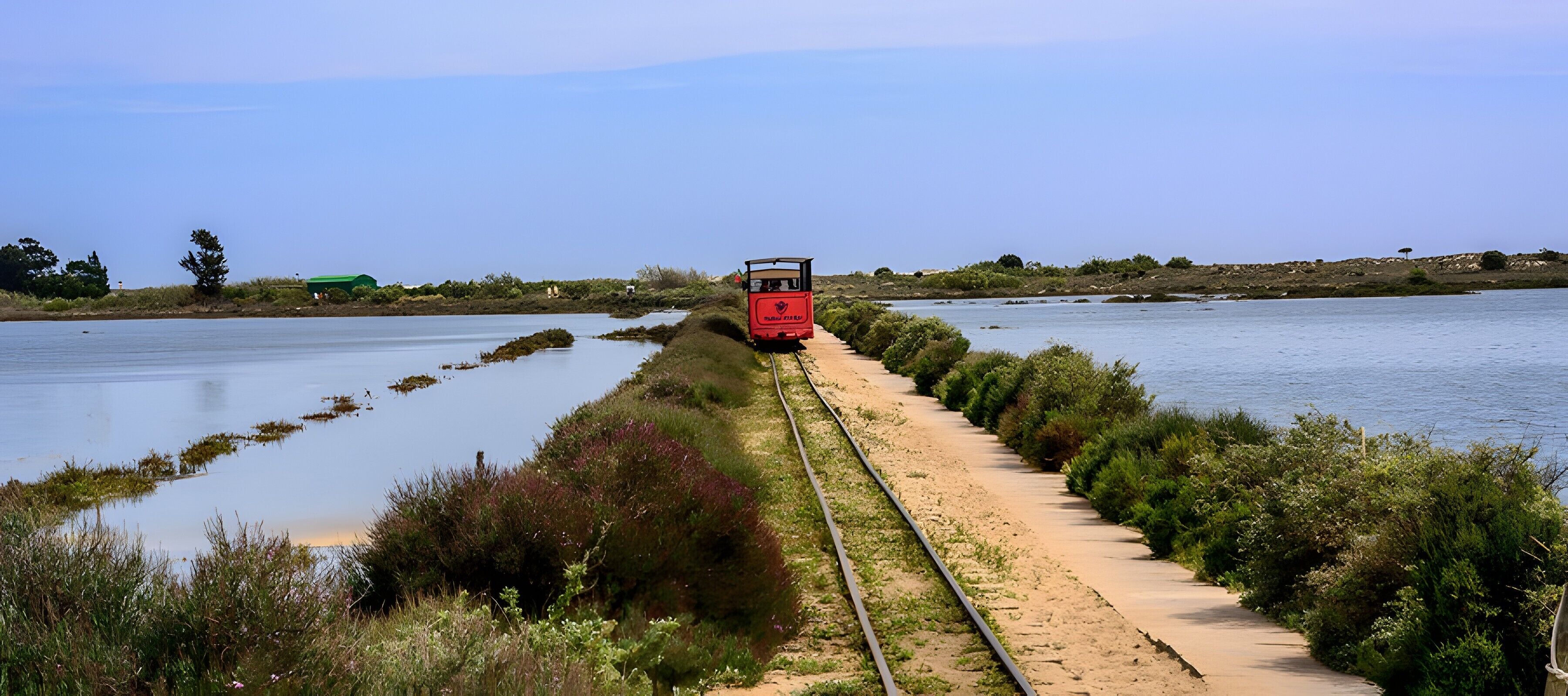 Un tren sobre rieles al lado de un cuerpo de agua, rodeado de vegetación.